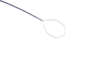 Endoscopy Cold Polypectomy Snares