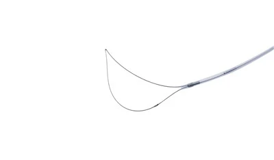 Einnota Polypectomy Snares